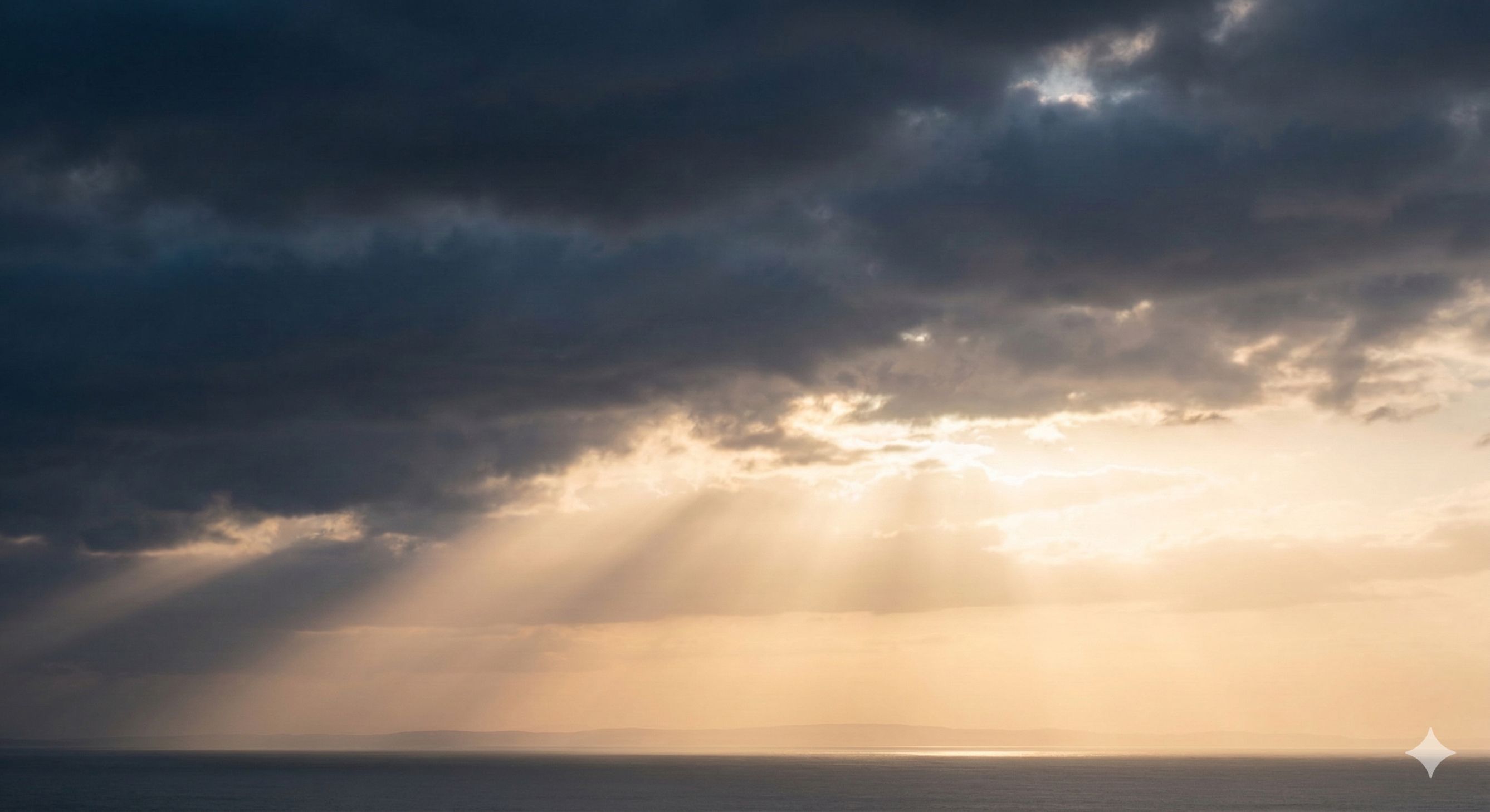 Sunrise through trees